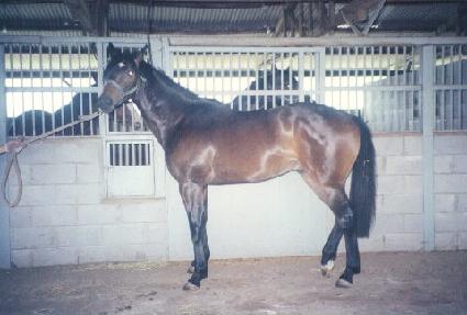 ��õ�η� ����