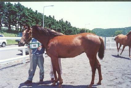 ��õ���� ����