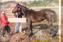 ������ (DAEJISEONG) ����