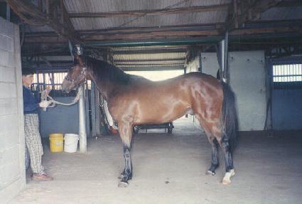 ��û�� ����