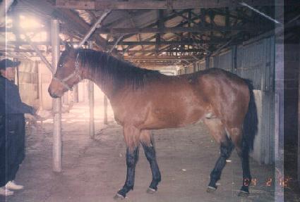 ������� ����