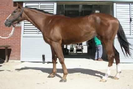 ������� ����