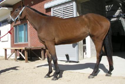 ������ũ ����