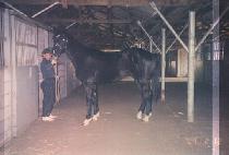 �츮��� (URI MODU) ����