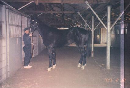 �츮��� ����