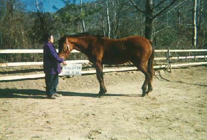 �帲����Ʈ ����