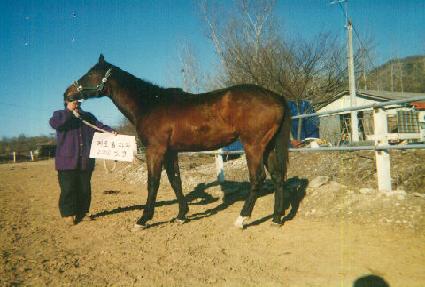 ������ ����