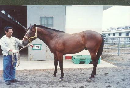 ���� ����