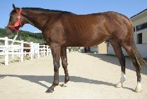 ��Ǫ���츮 (NEULPUREUN URI) ����