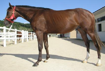 ��Ǫ���츮 ����