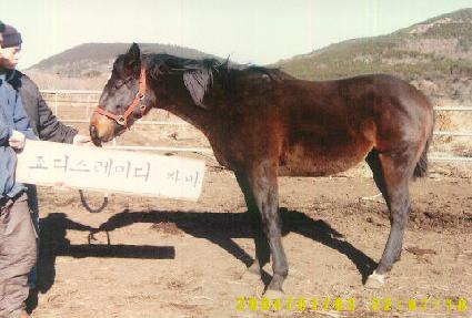 ���Ѱ�ȣ ����