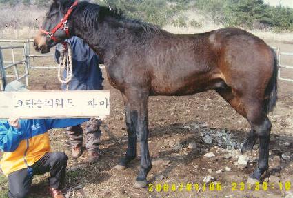 ���콺Ÿ ����