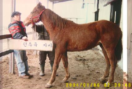 ���༺ ����