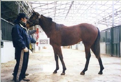 ������Ʈ�� ����