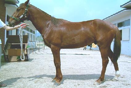 ��ǳ���� ����