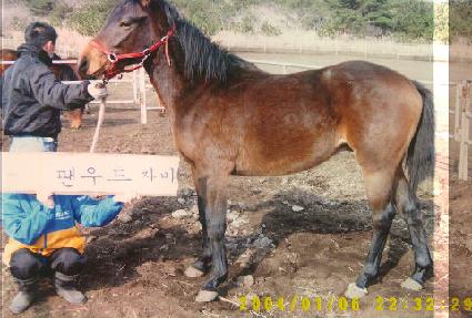 �ұ׸� ����