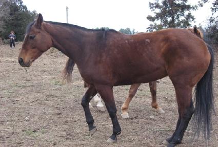 �ӵ����� ����