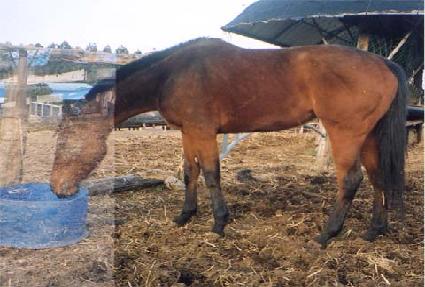 �ൿ���� ����