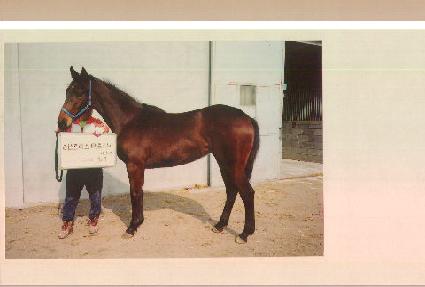 ��Ű ����