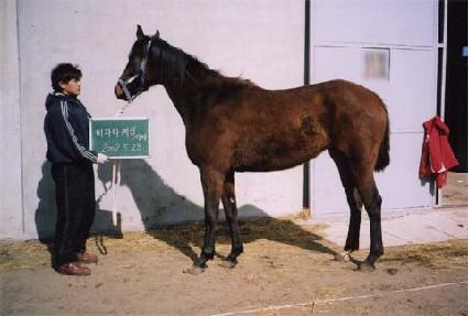 ����Ʈè�� ����