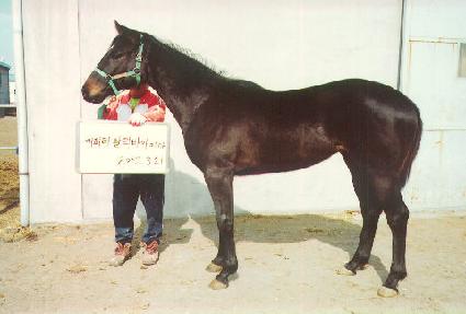 ��ũ��� ����