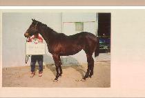 ������ (LISBON) ����