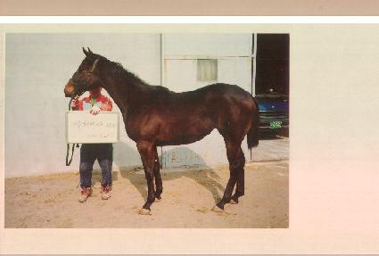 ������ ����