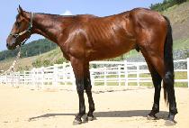 ���ΰ��� (YUNGNO GAEBANG) ����