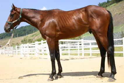 ���ΰ��� ����