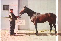 ž��ũ�� (TOP SECRET) ����