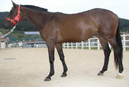 �Ź��� ����