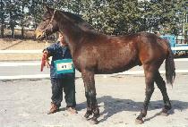 �������� (GWANGSOK JILJU) ����