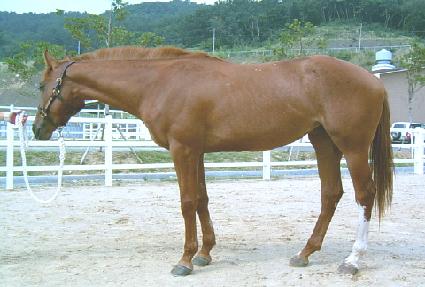 �Ϻ����� ����