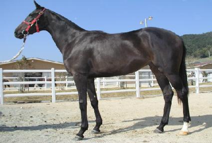 ���Ӵ� ����