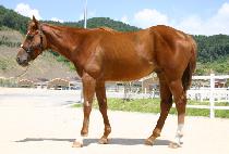 �ϱ��� (BUKGEUKHAE) ����