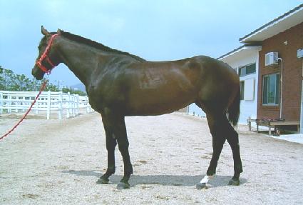 �ڿ����� ����