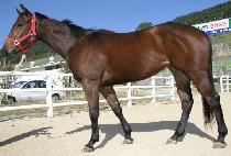 ������ġ (LOVE TOUCH) ����