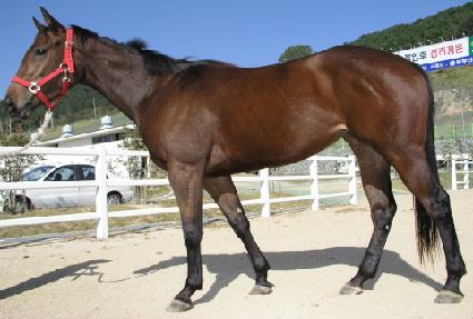 ������ġ ����