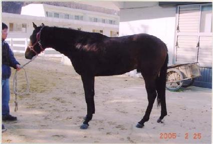 ���ϸ� ����