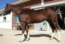 ����Ư�� (HYESEONG TEUKGEUP) ����