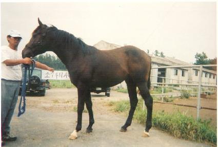 ��ߵ� ����