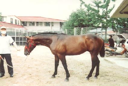 �ô��� ����