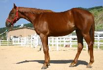 ���� (EUMSOK) ����