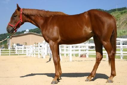 ���� ����