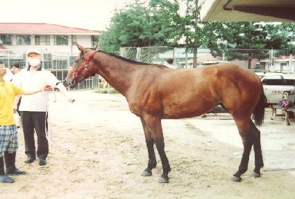 ������ħ ����