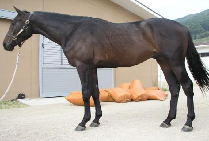 ����� ����