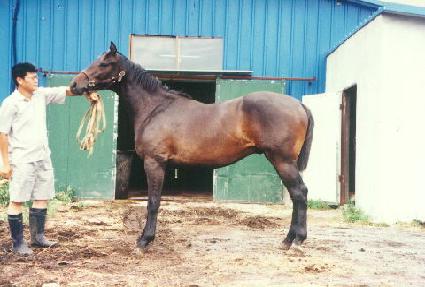 ��氭 ����