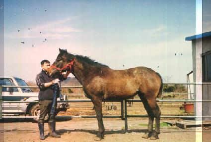 û��� ����