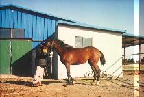 ���� (GWANGDAE) ����