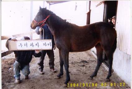 ���Դ����� ����